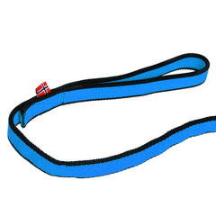 Non-Stop Dogwear Bungee Leash, Blue
