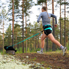 Non-Stop Dogwear CaniX Belt 2.0, Aqua/Pink
