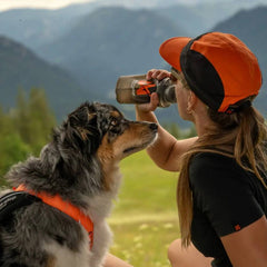 Non-Stop Dogwear Softflask, Grey