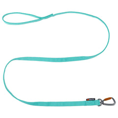 Non-Stop Dogwear Bungee Leash, Aqua
