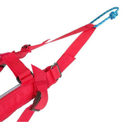 Non-Stop Dogwear Combined Harness, Red