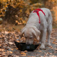 Non-Stop Dogwear Trekking Bowl, Black