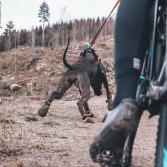 Non-Stop Dogwear Protector Bootie (4pk), Black/Orange