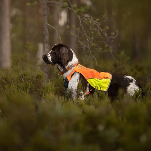 Non-Stop Dogwear Protector Vest, Orange