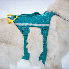 Non-Stop Dogwear Ramble Harness Long, Blue