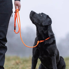 Non-Stop Dogwear Retriever Leash, Orange