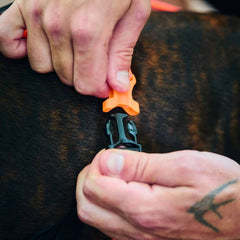 Non-Stop Dogwear Rush Harness, Black/Orange