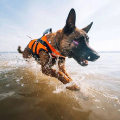 Non-Stop Dogwear Safe Life Jacket 2.0, Orange