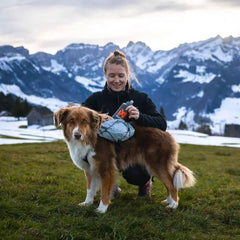 Non-Stop Dogwear Trail Light Dog Backpack, Glacier Grey