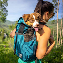 K9 Sport Sack | Trainer Puppy Small Dog Carrier, Blue