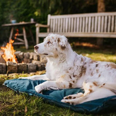 Non-Stop Dogwear Trekking Dog Bed, Dark Teal