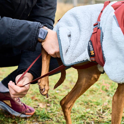 Non-Stop Dogwear Trekking Fleece Dog Jacket, Grey/Wine/Teal