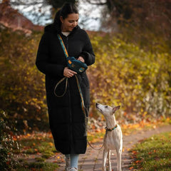 Non-Stop Dogwear Trail Quest Fanny Pack Rachel Pohl Edtion, Teal/Oak