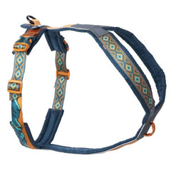 Non-Stop Dogwear Line Harness 5.0 Rachel Pohl Edition, Teal/Oak