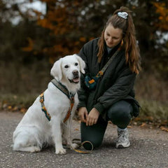 Non-Stop Dogwear Line Harness 5.0 Rachel Pohl Edition, Teal/Oak