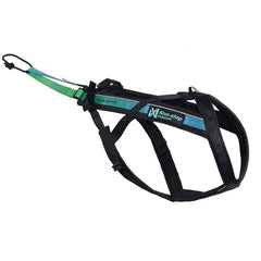 Non-Stop Dogwear Freemotion Harness 5.0 15th Anniversary Edition, Blue/Green