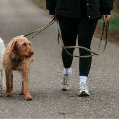 Non-Stop Dogwear Trail Quest Leash Rachel Pohl Edition, Teal/Oak