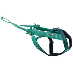 Non-Stop Dogwear Freemotion Harness 5.0, Aqua/Pink