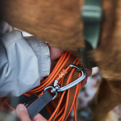 Non-Stop Dogwear Friction Long Line, Orange