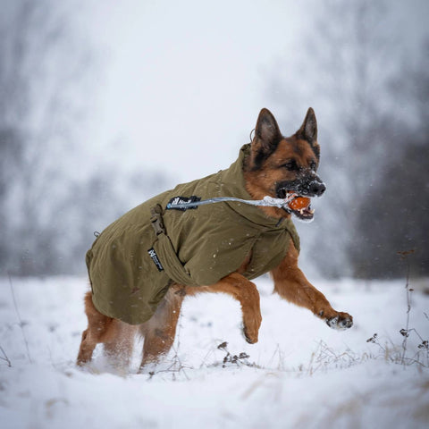 Non-Stop Dogwear Glacier Dog Jacket WD, Olive