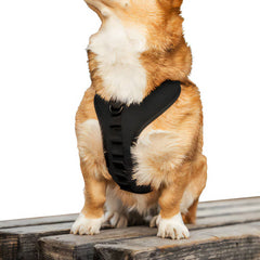 K9 Sport Dog Harness, Black
