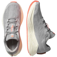 Salomon Aero Glide 3 Men's Running Shoes, Alloy/Vanila/Neon Flame