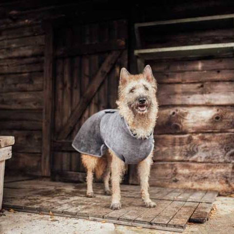 Rukka Pets Micro Light Dog Bathrobe, Grey
