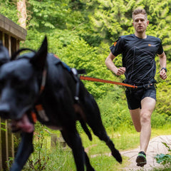 Non-Stop Dogwear Bungee Leash, Aqua