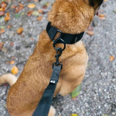 Non-Stop Dogwear Security Leash, Black