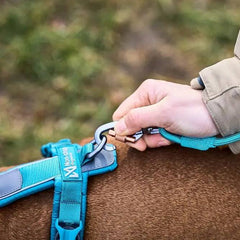 Non-Stop Dogwear Trekking Rope Leash, Teal