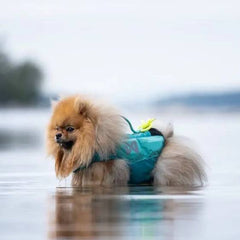 Non-Stop Dogwear Protector Life Jacket, Teal