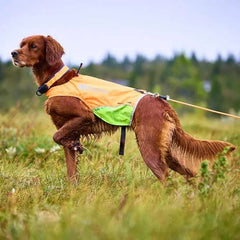 Non-Stop Dogwear Protector Round Long Line, Orange