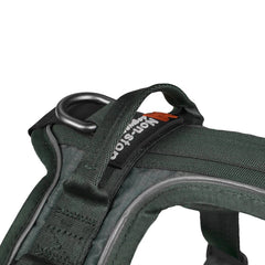 Non-Stop Dogwear Ramble Harness, Black/Orange