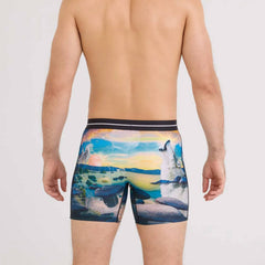 Saxx Volt Breathable Mesh Boxer Briefs, I Dream of Tahoe/Multi
