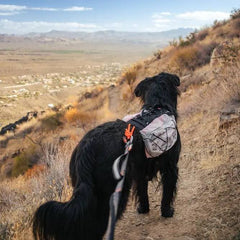 Non-Stop Dogwear Trail Light Dog Backpack, Glacier Grey