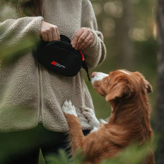 Non-Stop Dogwear Trail Quest Fanny Pack, Black