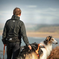 Non-Stop Dogwear Trail Light Belt, Black