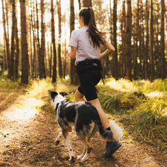 Non-Stop Dogwear Trail Light Belt, Black