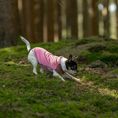Non-Stop Dogwear Trail Quest Fleece Pullover, Mauve