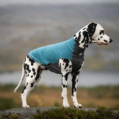 Non-Stop Dogwear Trail Quest Fleece Pullover, Teal