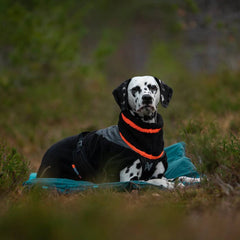 Non-Stop Dogwear Trekking Fleece Dog Jacket, Black/Orange