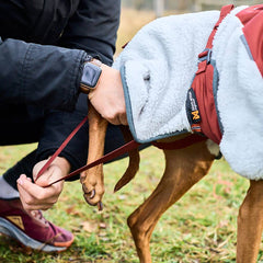 Non-Stop Dogwear Trekking Fleece Dog Jacket, Black/Orange